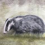 110. Badger 'Slug Hunt'