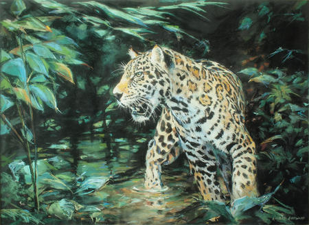 Jaguar