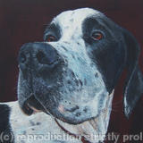 Harvey II  [Bacon butty day]