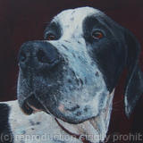 Harvey II  [Bacon butty day]