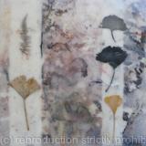 Gingko Leaves [Impressions from Holkham]