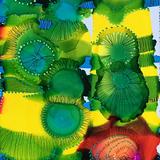 Ink on Yupo Paper with posca pen