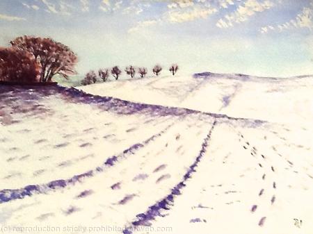 Trees in the late afternoon, Lyme Park