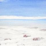 The Cage late afternoon