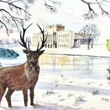 Stag at Lyme Park