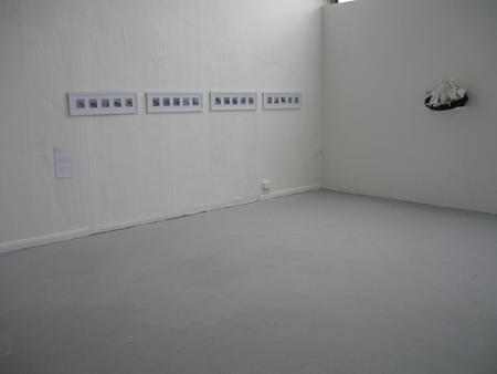 The Reveal. M.A Interim Show (2013)