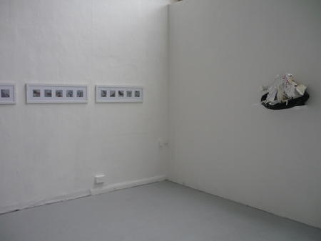 The Reveal. M.A Interim Show (2013)