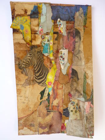 Looking for the Zebra (2016)