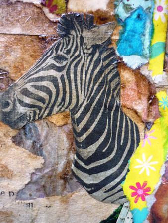 Looking for the Zebra  (2016)