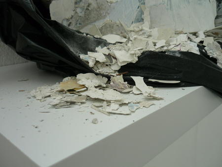 The Remains. M.A Interim Show (2013)