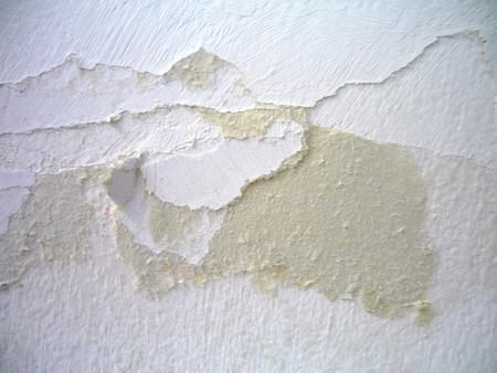 The Last 5 minutes (2013) Audience Participation