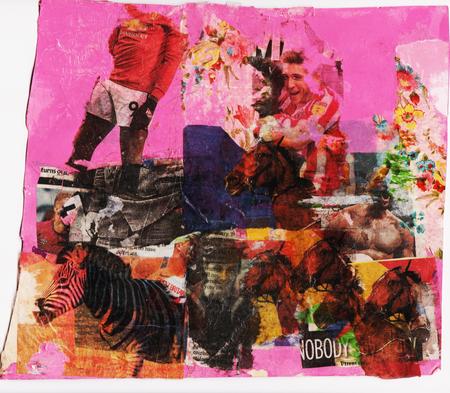 Zebras and Stallions