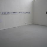 The Reveal. M.A Interim Show (2013)