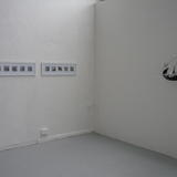 The Reveal. M.A Interim Show (2013)