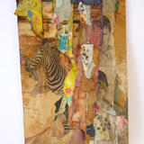 Looking for the Zebra (2016)