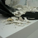 The Remains. M.A Interim Show (2013)