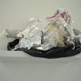 The Remains. M.A Interim Show (2013)