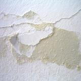 The Last 5 minutes (2013) Audience Participation