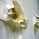 The Last 5 minutes (2013) Audience Participation