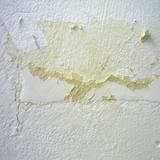 The Last 5 minutes (2013) Audience Participation