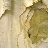 The Last 5 minutes (2013) Audience Participation