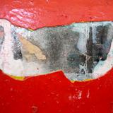 Hyena (Detail) (2014)