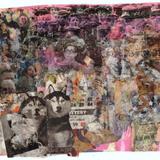 Wolf in the Fold (2018)