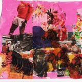 Zebras and Stallions