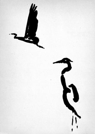 Through a Gulf of Sky