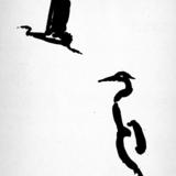 Through a Gulf of Sky