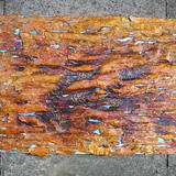 Edge of the Forest - Max Ernst