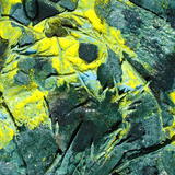 More Than This (Botanico)