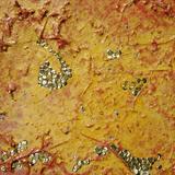 Last Night I Dreamt I Grew Wings