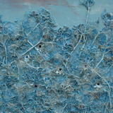 One Million Snowflakes