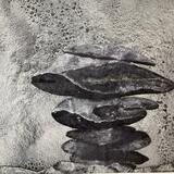 Starbright (Cheesewring, Cornwall) 