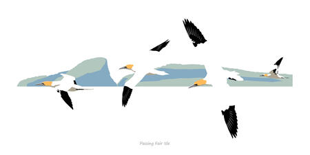 Passing Fair Isle (Gannets)