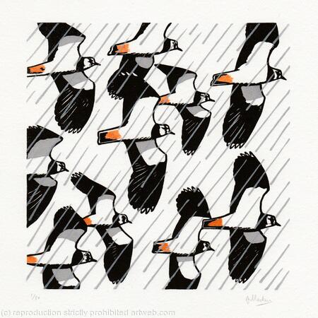 Lapwings in the Rain