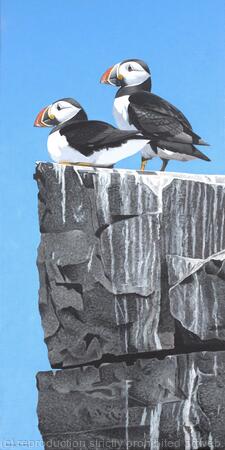 Inner Farne Puffins