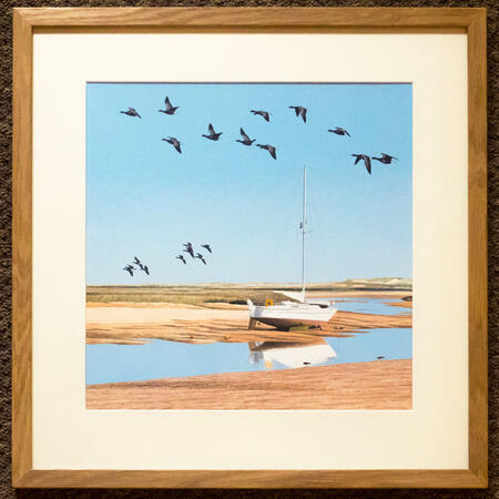 Burnham Overy Brent Geese