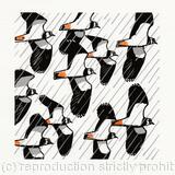 Lapwings in the Rain