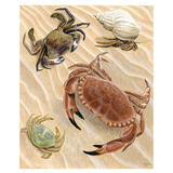 Crabs
