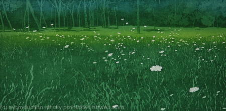 The edge of the woods