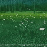 The edge of the woods