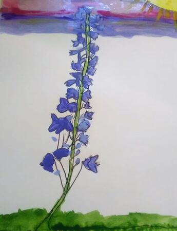 Reaching for the Sky 