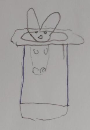 Magical Hat With The Rabbit