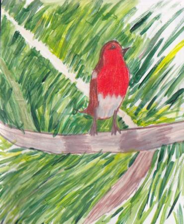 Robin In The Tree