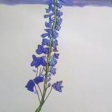 Reaching for the Sky 