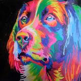 Techicolour Retriever 