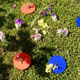 Land Art Project 2019 