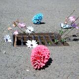 Land Art Project  2019 